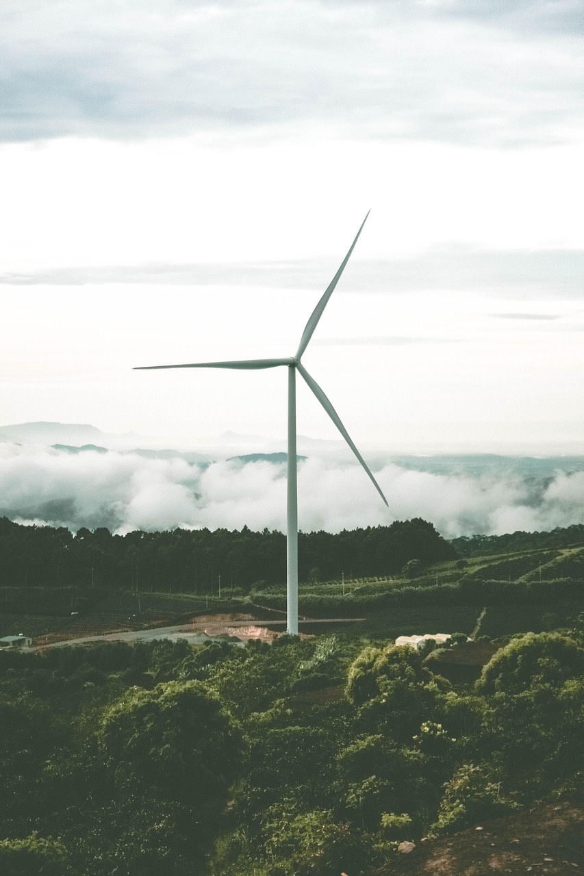 Land Use and Property Rights in Wind Projects