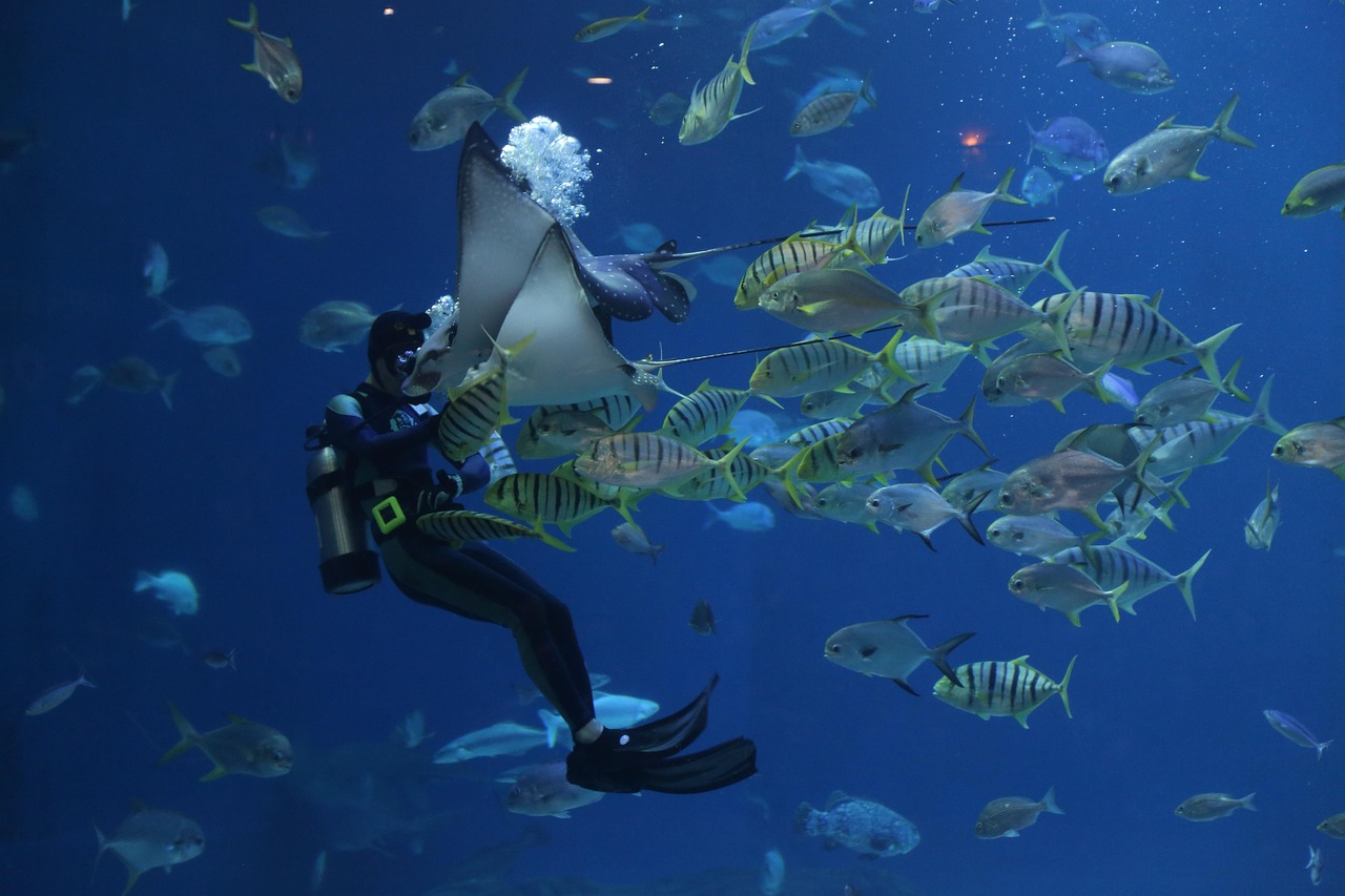 Marine Spatial Planning and Ecosystem Management