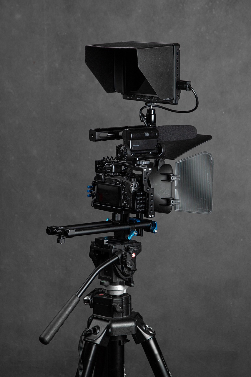 Multimedia Production for Learning