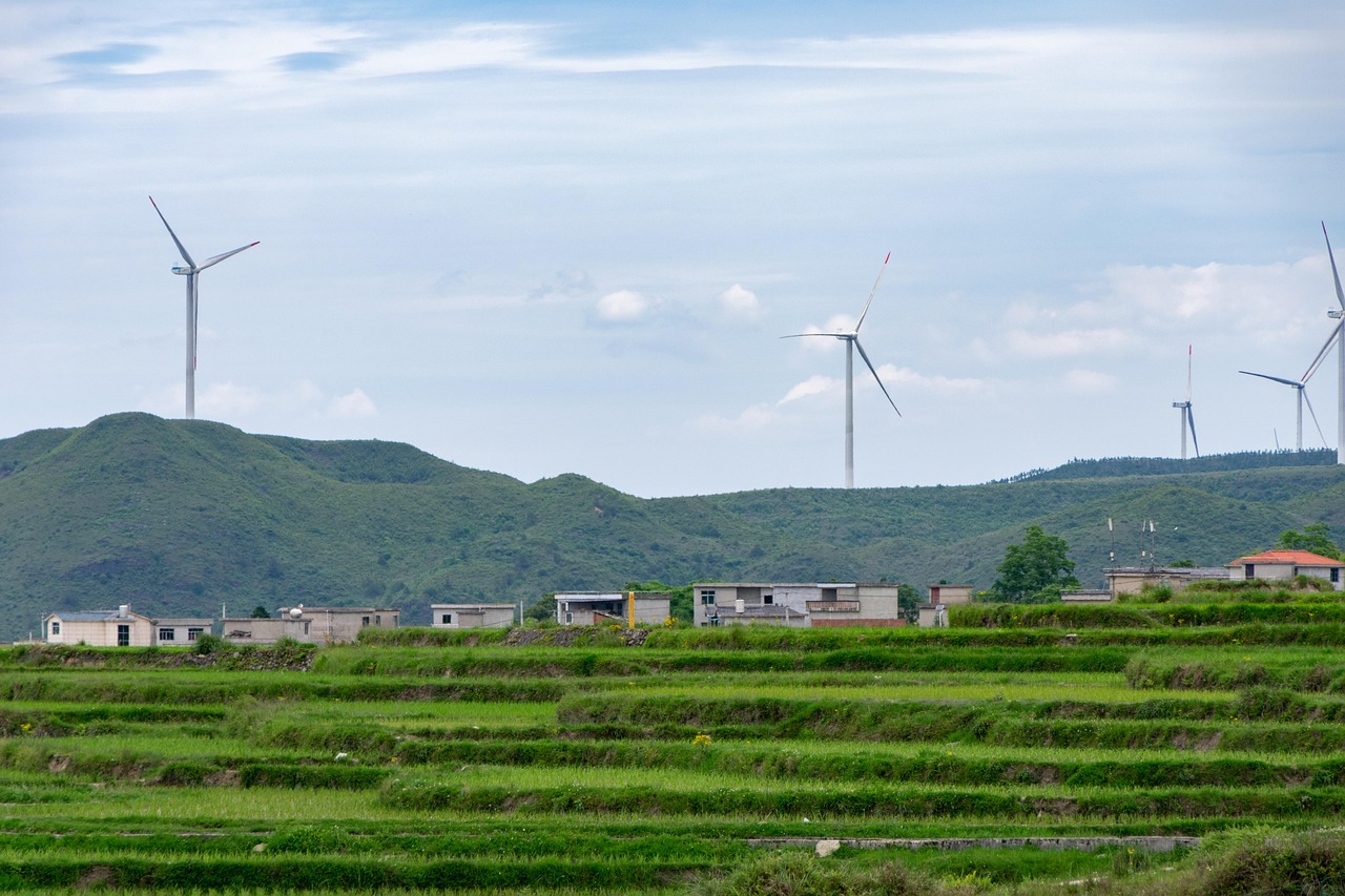 Sustainable Development Principles