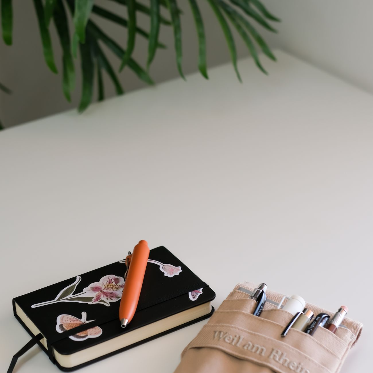 Interdisciplinary Approaches to Diary Studies  