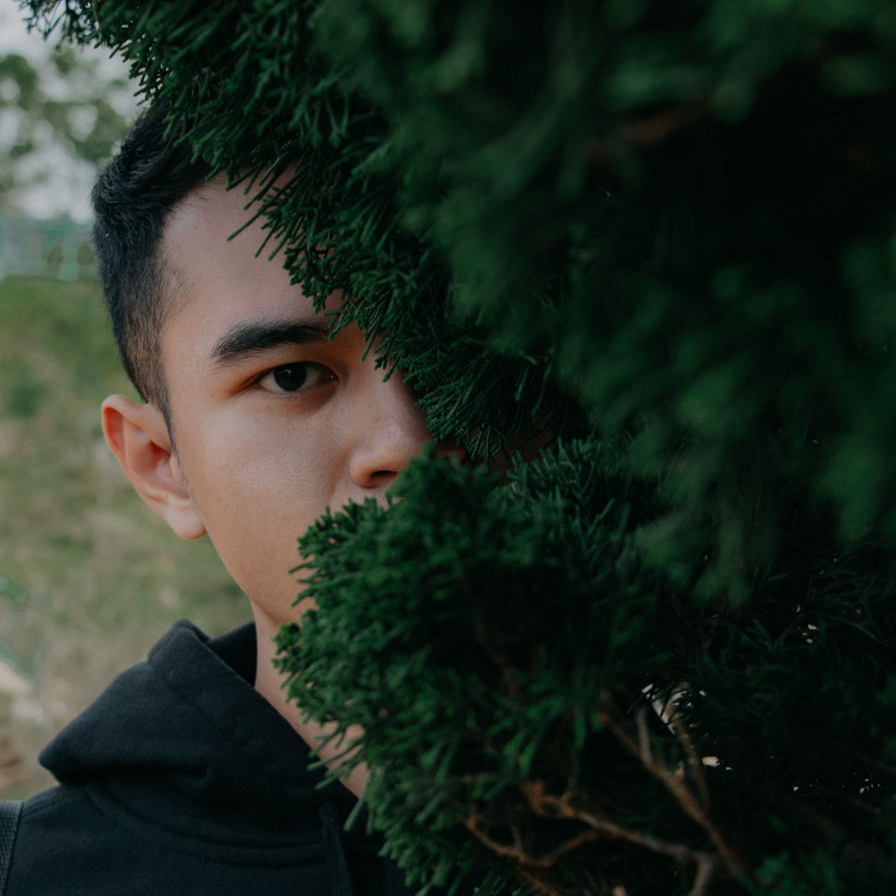 Criminal Behavior and Mental Health  