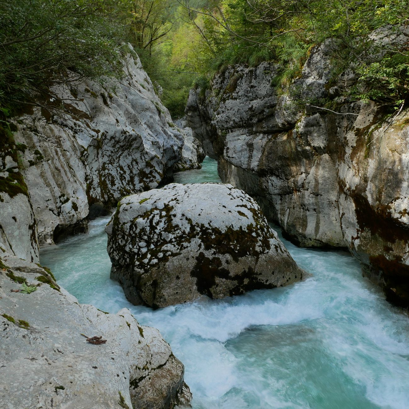 Regulations and Policies in Hydropower  